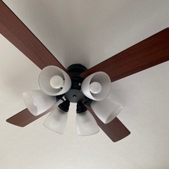 シーリングファンライト 照明器具