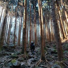 　山友募集！低山ハイクといちご狩り🍓 - 江戸川区