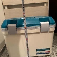 ④無料 クーラーボックス 取りに来てくださる方限定 1月中の画像