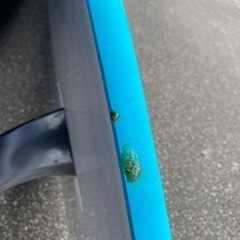 【引き渡し者決定】SUPボード（Grom 8'0）※手渡しのみ※価格交渉応じます。の画像