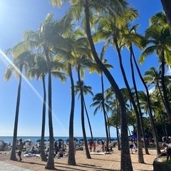 春休みに東南アジア一周してくれるパートナー募集中🙋‍♀️