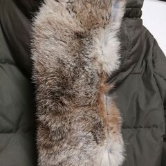 quadroレディースダウンジャケットの画像