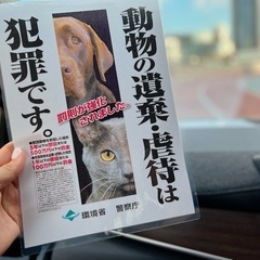 YouTuber仲間を本気募集🐾 - 板橋区