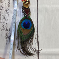 孔雀の羽 鳥の羽 ブローチ 本物の羽 紙箱付き インテリア おしゃれ 孔雀の画像