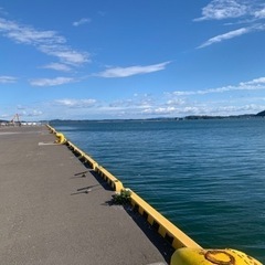釣り仲間募集中