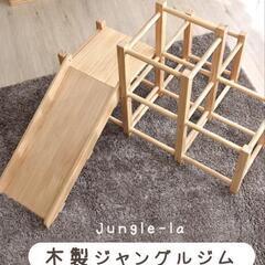 室内用ジャングルジム滑り台付