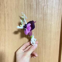 ブーケ　ブートニアの画像