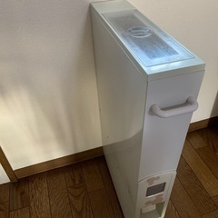 スリム米びつ　約12キロ　ミッキー　ライサー　ライスストッカーの画像