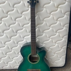 【‼️生産終了モデル‼️】Aria  TG-1　SGR アコース...