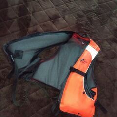 子供用ライフジャケット・ＬＬの画像