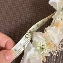 花冠の画像