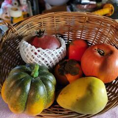 新春セール‼️サンプル品まとめ売りの画像