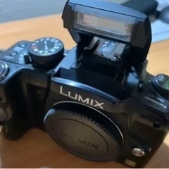 Panasonic デジタル一眼カメラ LUMIX DMC-G1の画像