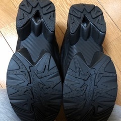 リーボック　ポンプフューリー　24.5の画像