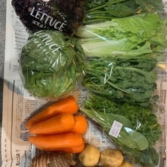 野菜販売やります!!お得な情報あり♡