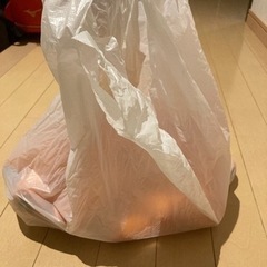 へきなん美人お譲りします。の画像