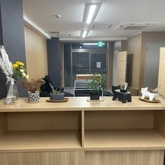 観葉植物