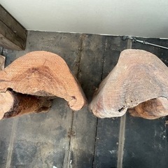 【決まりました】杉の木　木材　面白い丸太　味がある丸太　自然のアートの画像