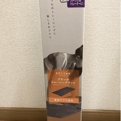 【処分価格】【新品】スポーツ プランクトレーニングマット  ヨガマットの画像