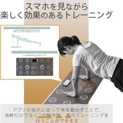 【処分価格】【新品】スポーツ プランクトレーニングマット  ヨガマットの画像