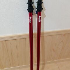 ロゴスタープポール　２本