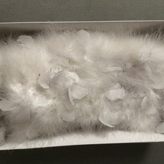 ショールの画像