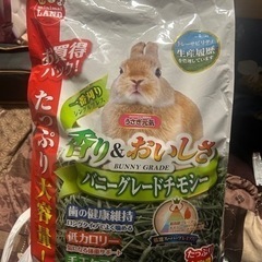 うさぎのチモシーの画像
