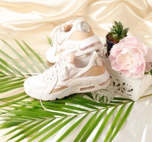 NIKE ウィメンズ エア マックス エクシ