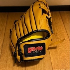 グローブ　ボール2個セット