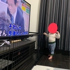イレクターパイプ　矢崎　カインズの画像