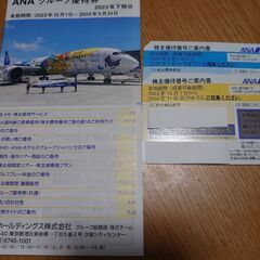 ANA 株主優待２枚＆グループ優待券　2024/5/31と202...