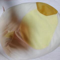 すみっコぐらし大ぬいぐるみの画像