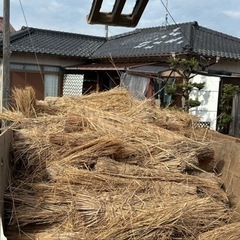 いぐさ　ねこぼこ　敷き藁　無料