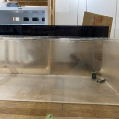 アクリル水槽　熱帯魚　アロワナの画像