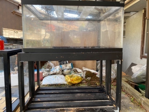 アクリル水槽　アロワナ　熱帯魚