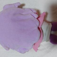 えるちゃんの画像