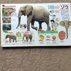 どうぶつ図鑑の画像