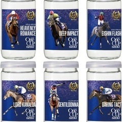 大関 上撰ワンカップ　感動編　競走馬ラベル 競馬 G1 6デザイ...