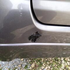 ホンダゼスト　8万で譲ります！の画像