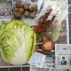 【お取引先決定済み】白菜と色々セット①