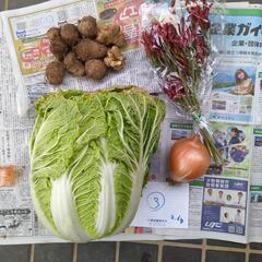 白菜と色々セット③