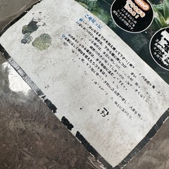 【新品】極床　きわみどこ　造形君　４Ｌの画像
