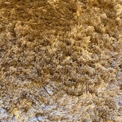 ブラウン　ラグの画像