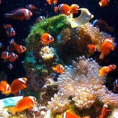 【1月急募】履歴書・写真不要・シフト自由でサクッと日払いカンタン...