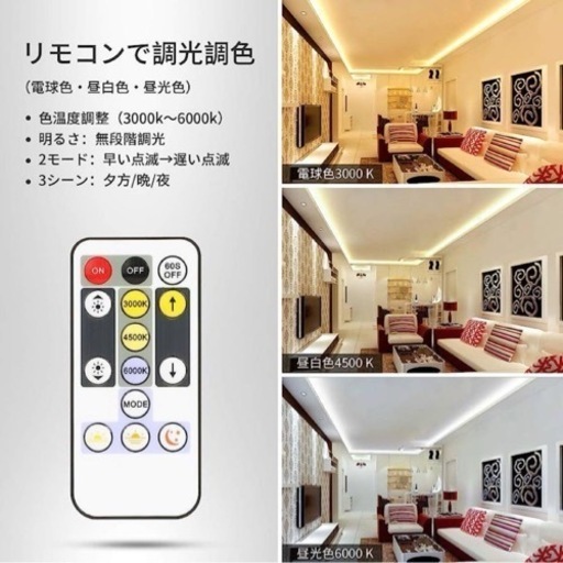 LED テープライト 10m