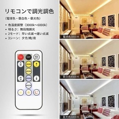 LED テープライト 10m 