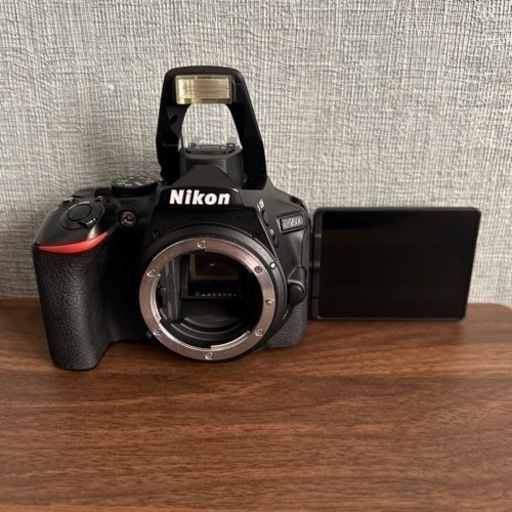 NikonD5600+18-140 おまけ付き