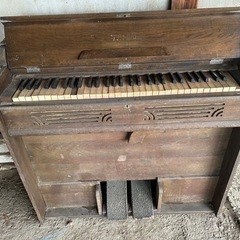 オルガンの画像