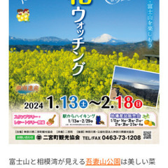 2月10日㈯山友募集！菜の花畑と富士山コラボ！低山ハイク(⁠^⁠^⁠) - 江戸川区