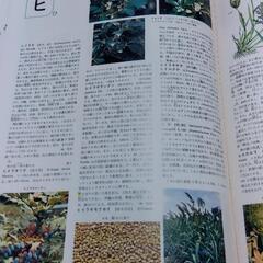 万有百科大事典　全巻の画像